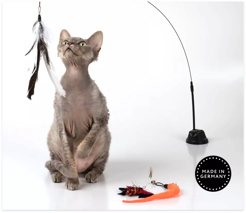 Cat toys