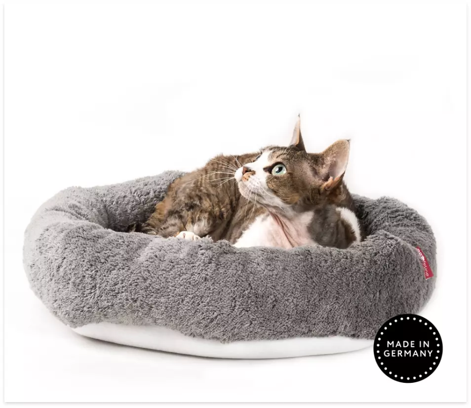 Cats beds